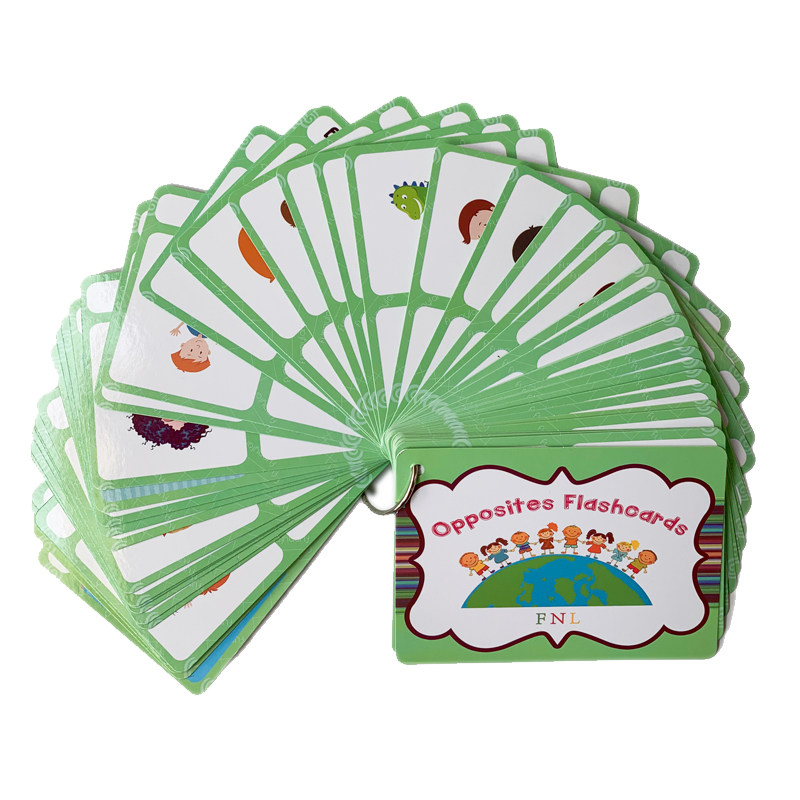 The 100 Groups Opposites Flash - Kids Toys And Games recensione e prezzo