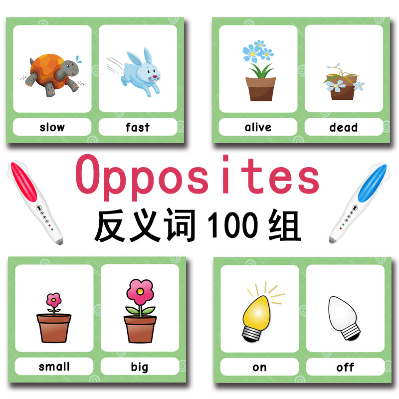 The 100 Groups Opposites Flash - Kids Toys And Games recensione e prezzo