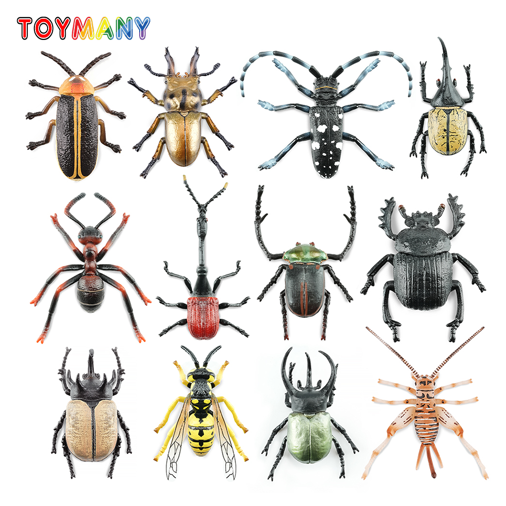 Toymany Simulation Insect & Be - Kids Toys Under $5 recensione e prezzo