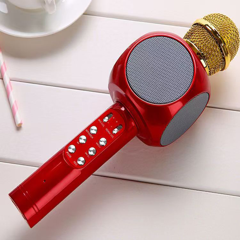 WS1816 Wireless Children Karao - Kids Microphone Karaoke recensione e prezzo