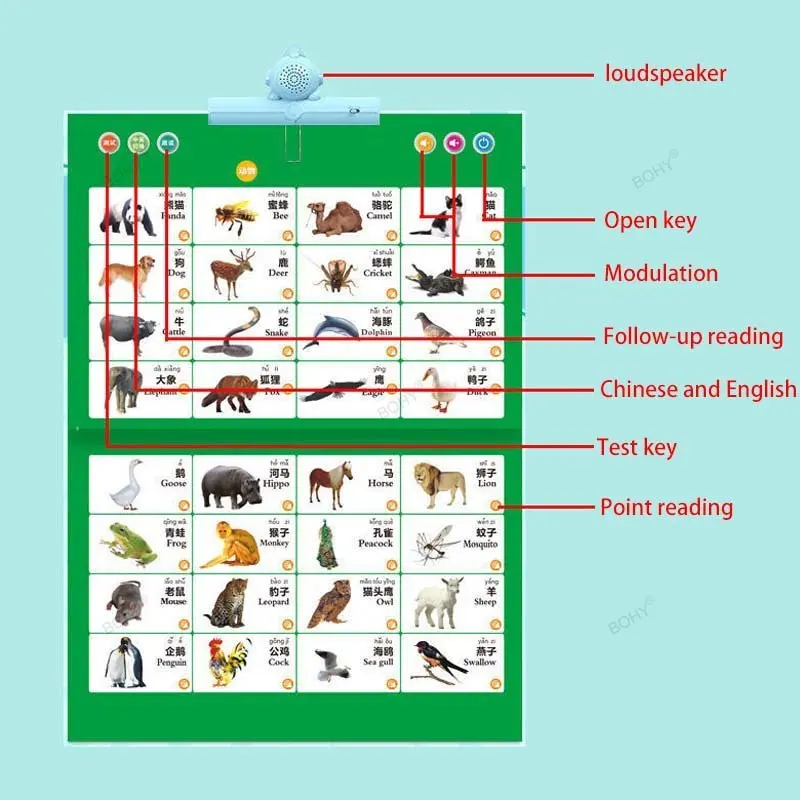 Point To Read Audio Books Poin - Kids Toys Now recensione e prezzo