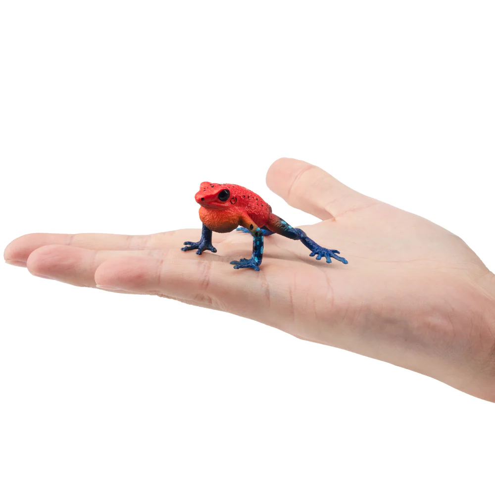 Toymany Simulation Strawberry  - Kids Toys Under $5 recensione e prezzo