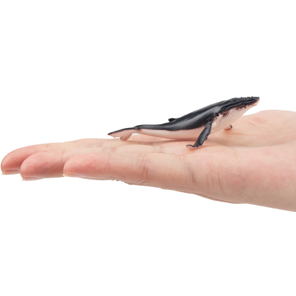 Toymany Simulation Humpback Wh - Kids Toys Under $5 recensione e prezzo