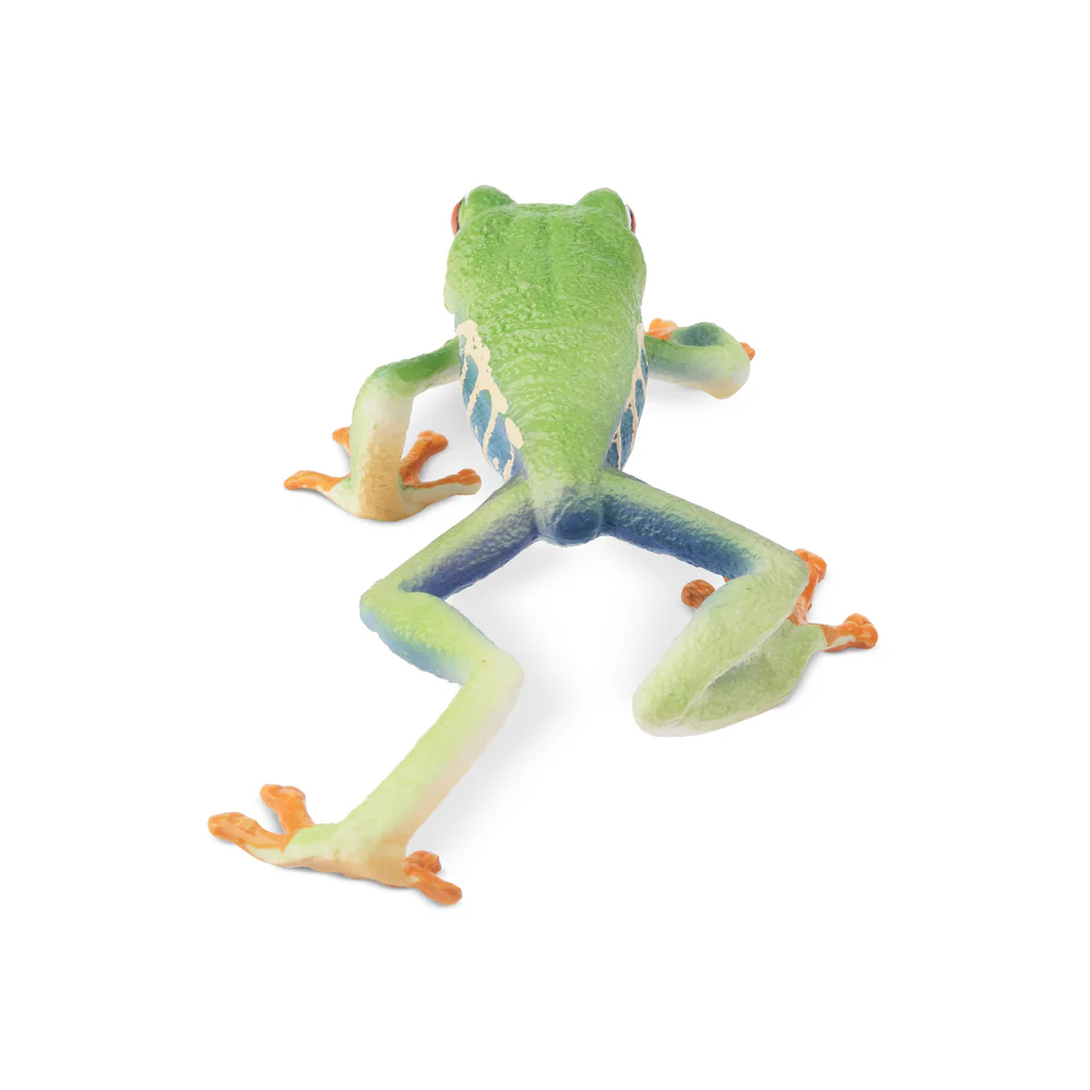 Toymany Simulation Red-eyed Tr - Kids Toys Under $5 recensione e prezzo