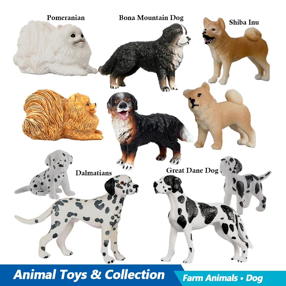 Labrador Poodle Rottweiler Bon - Kids Toys Under 100 recensione e prezzo