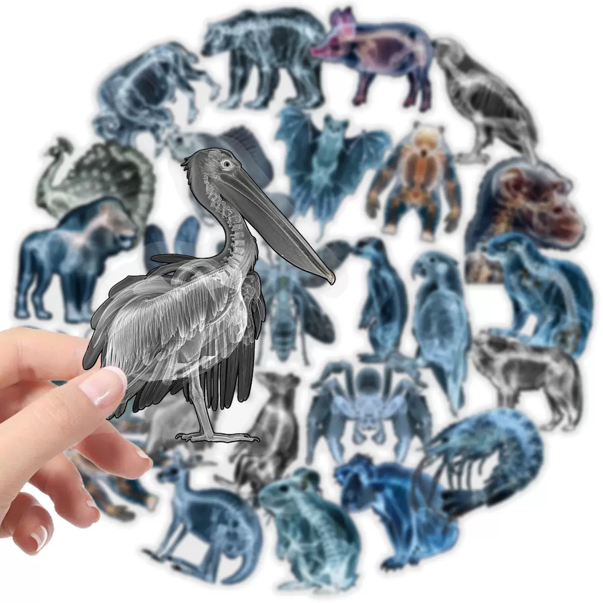 10/56pcs Animal Skeleton Stick - Kids Xray Toys recensione e prezzo